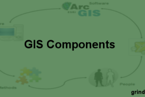 Components of GIS