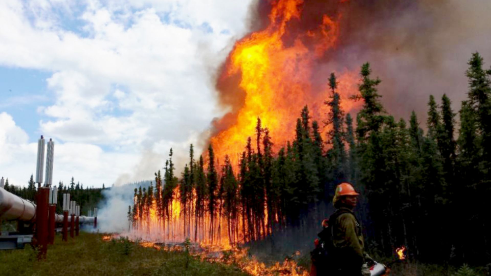 forest burning leading todisrupted weather patterns